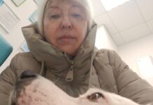 Малыш я не со зла гуляю. Безопасность с незнакомцами. Злой малыш. Поведение с незнакомыми людьми. Малыш я не со зла гуляю.