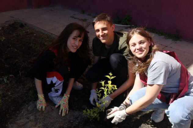 В Саратове изменят подход к приживаемости растений