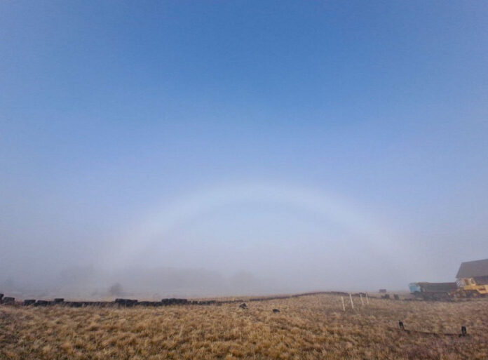 3ls7qn3i8ljmdglg981h4wxdlnaedttu