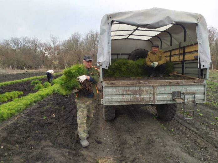 photo_2025-10-08_14-44-42 (3)