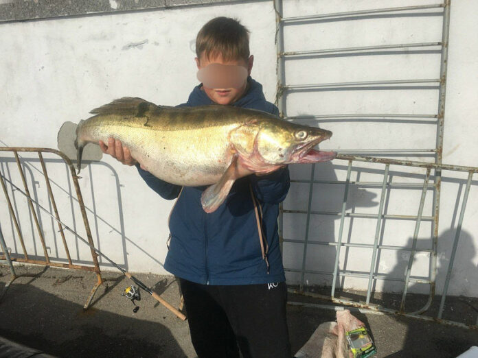 0cz5uy3k8b7ra6f1kjpp10tk3irzo5uk