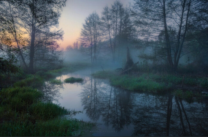 ficf7yk2qqqnvfytkhrwalwjyd3j4rv5