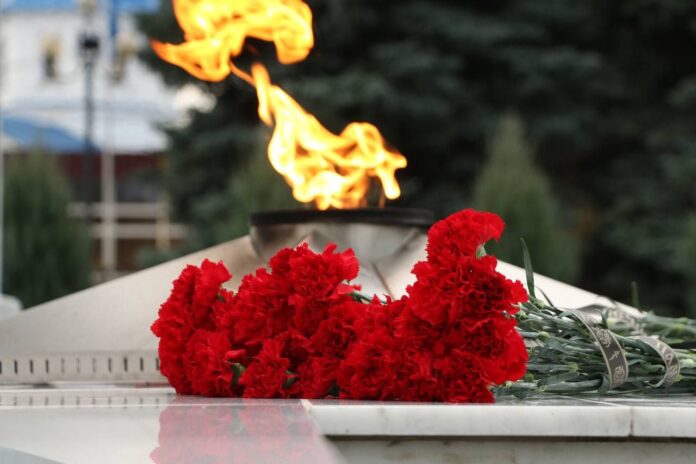 гвоздики_огонь