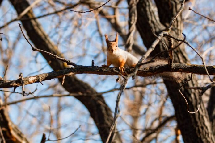 IMG_20251116_100506_627