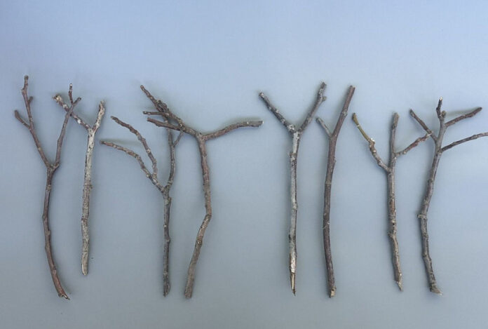 j1yed1kbhq3rw4brluycgf7px4l2t9po