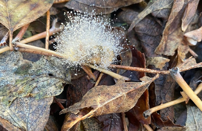 lmoci9uccb4sqv8b9rzdg7wsbujhfxxw