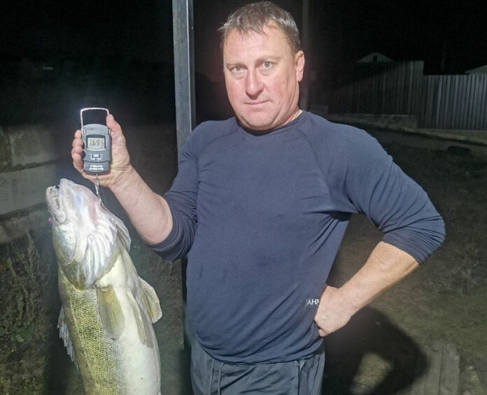 o8wldyryjig83pq9m05rz3hzubpp9csm