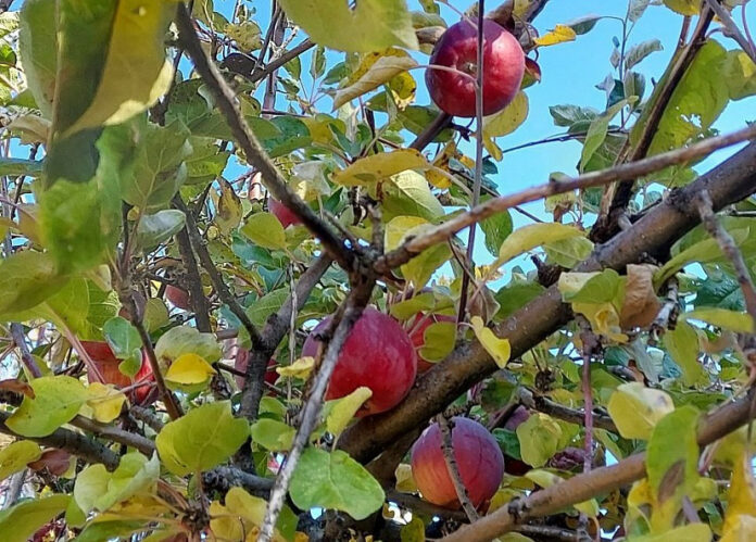 o9xqv8g7bf7og3gtaxeofepiqub3zppr