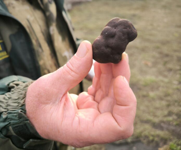 photo_2025-11-02_11-57-54