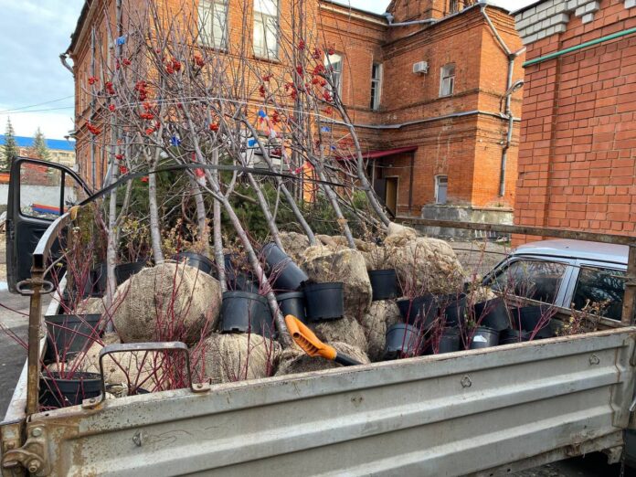 photo_2025-11-06_09-14-14