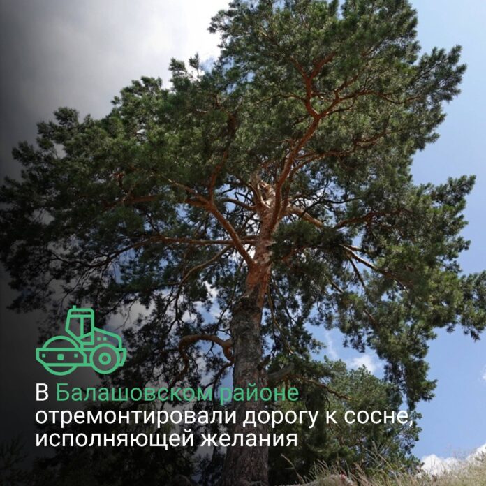 photo_2025-11-19_15-01-34