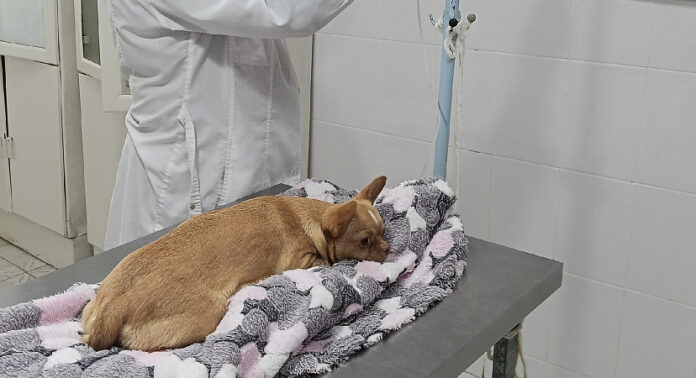 slnsszlhxywh3x5fnxulg6e9l30e0df5