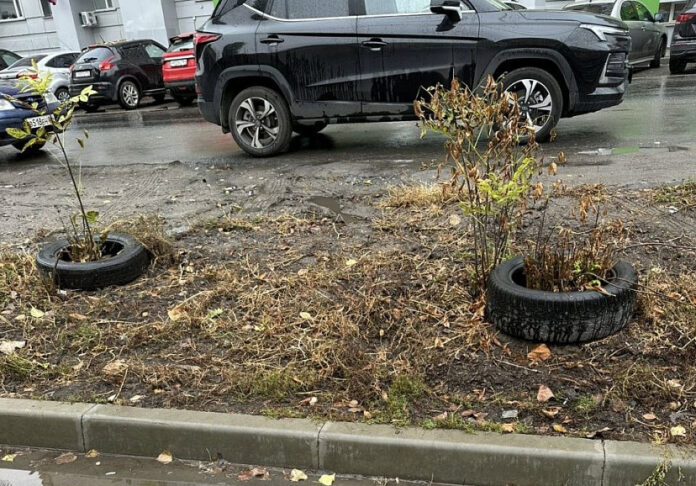 vzwr5ygrm05zvthy0gwdhk6oexy8u384