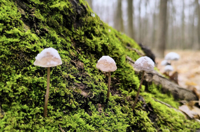 x85hahg3jacnpx5owqyut2gk1xi7s3b9