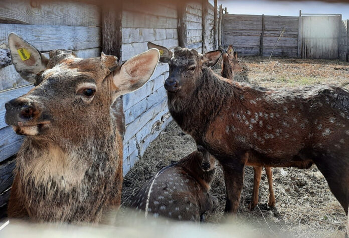 xnb4oxfp0j285vicnkkj7h0sy7v3oxeo