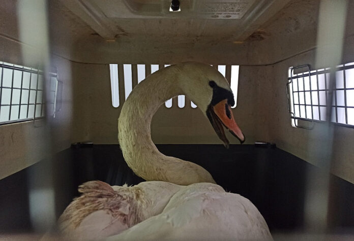 13nidk1yjhbt62ktw5ui81hbsg9eamjn