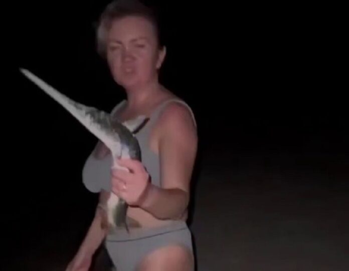 63nd0dxuf6wq22gp2n8tfpt5vq1bhlck