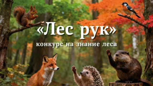 7uXKI9W7Z-AE-t5sHHJLFdKPljfz22dO4lks3Qn8brhek-RtjjbXNMyB8u6Z7RQb9wFn20ETHoxhzNhghONL8hjb