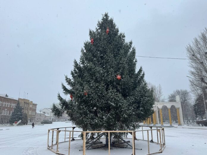 энгельс_ель_елка_зима