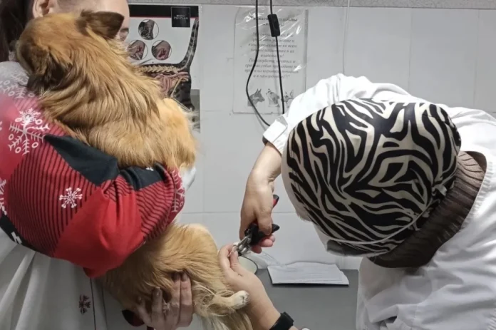 500270cf832108de8b89fdfbd9c78713