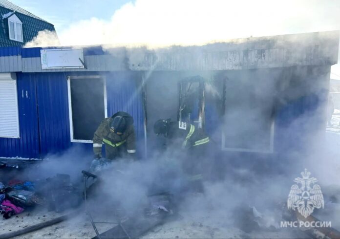 86117_1769151981_1_original