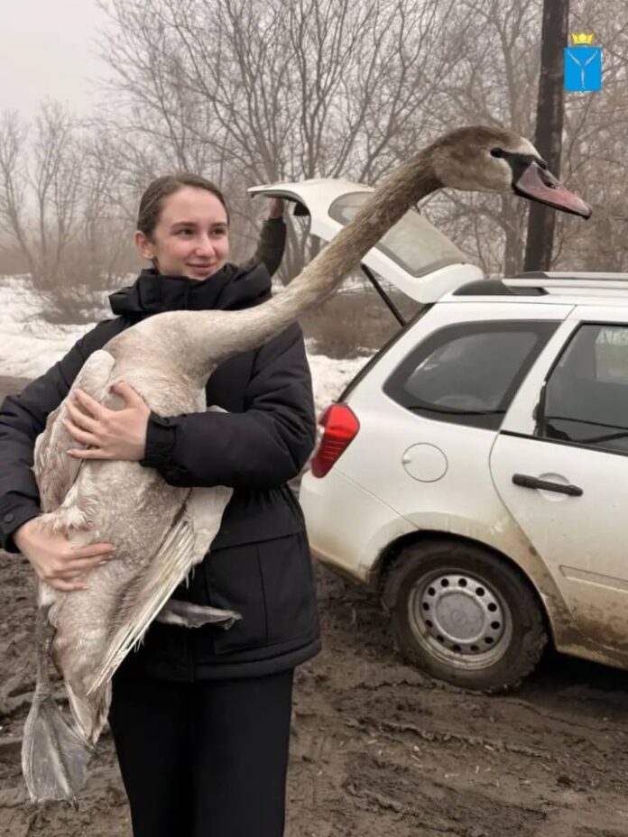 photo_2026-03-27_14-01-24