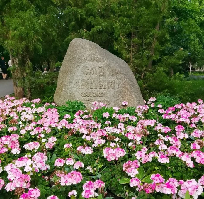 липки