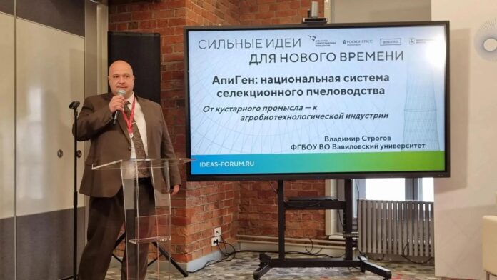 Строгов